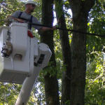 Bucket and Crane Services